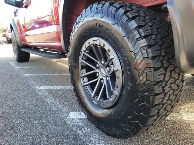 Ford F-150 Raptor 4WD SuperCrew 5.5' Box 2019