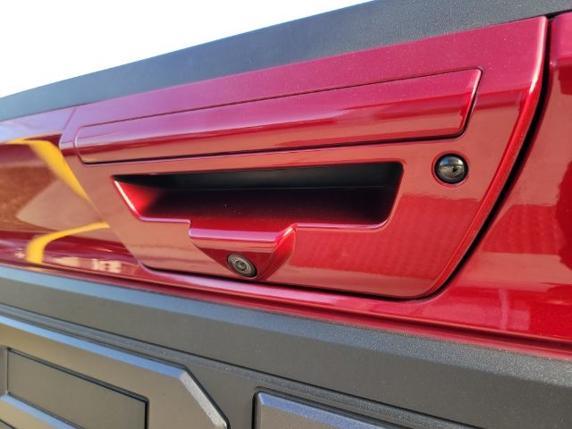 Ford F-150 Raptor 4WD SuperCrew 5.5' Box 2019