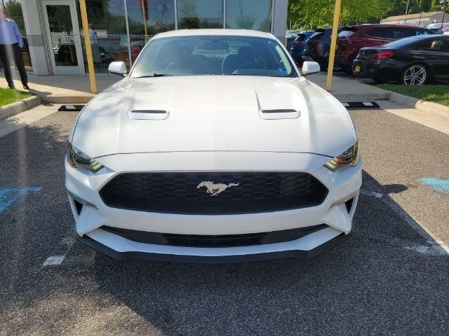 Ford Mustang EcoBoost Fastback 2019