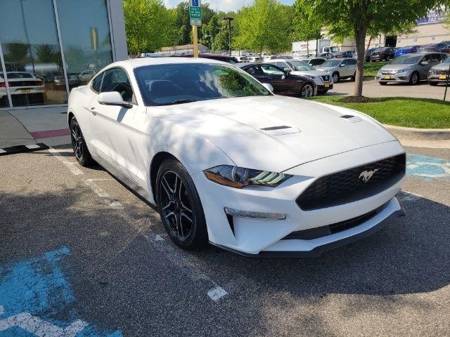 Ford Mustang EcoBoost Fastback 2019