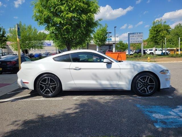 Ford Mustang EcoBoost Fastback 2019