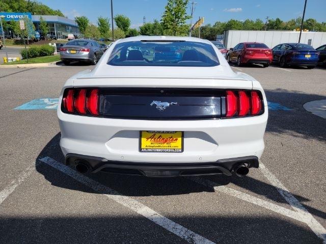 Ford Mustang EcoBoost Fastback 2019