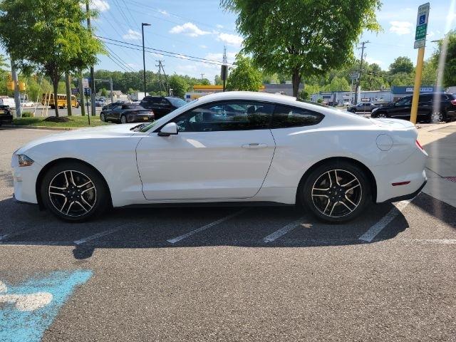 Ford Mustang EcoBoost Fastback 2019