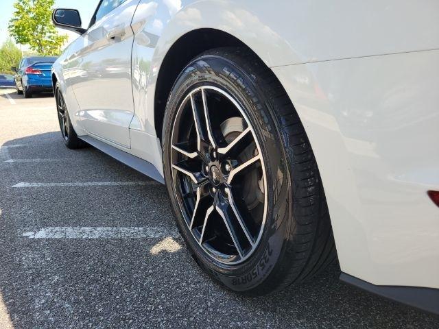 Ford Mustang EcoBoost Fastback 2019