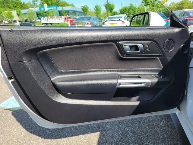 Ford Mustang EcoBoost Fastback 2019