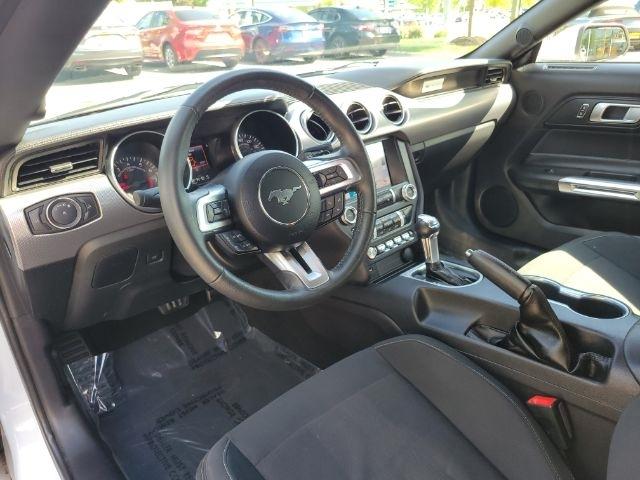 Ford Mustang EcoBoost Fastback 2019