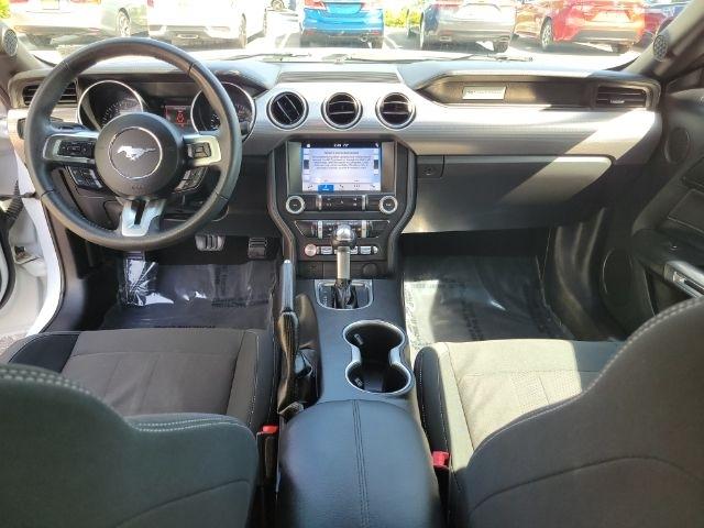 Ford Mustang EcoBoost Fastback 2019