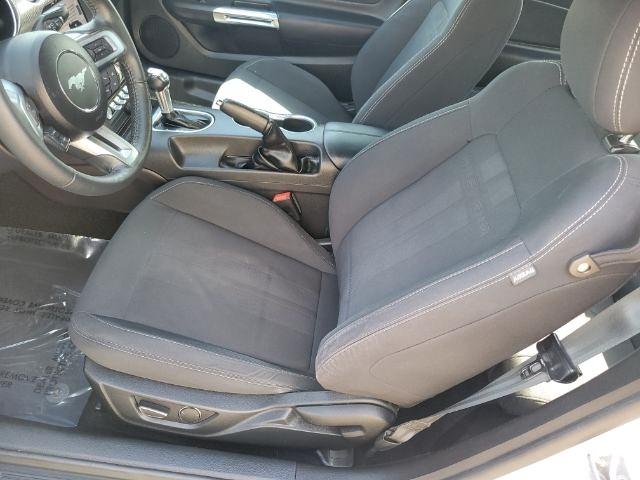 Ford Mustang EcoBoost Fastback 2019