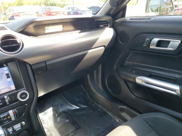 Ford Mustang EcoBoost Fastback 2019