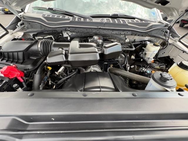 Ford Super Duty F-250 SRW XLT 2WD Reg Cab 8' Box 2019