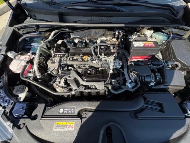 Toyota Corolla LE CVT (Natl) 2024