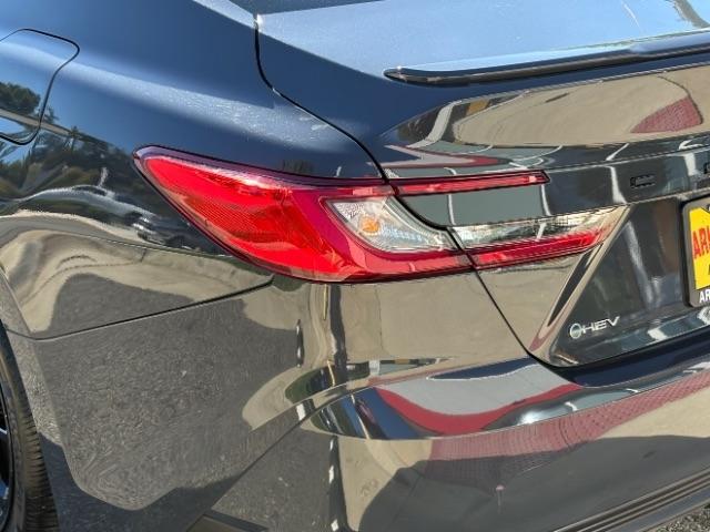 Toyota Camry XLE (Natl) 2025