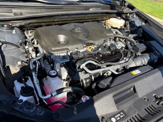 Toyota Camry XLE (Natl) 2025