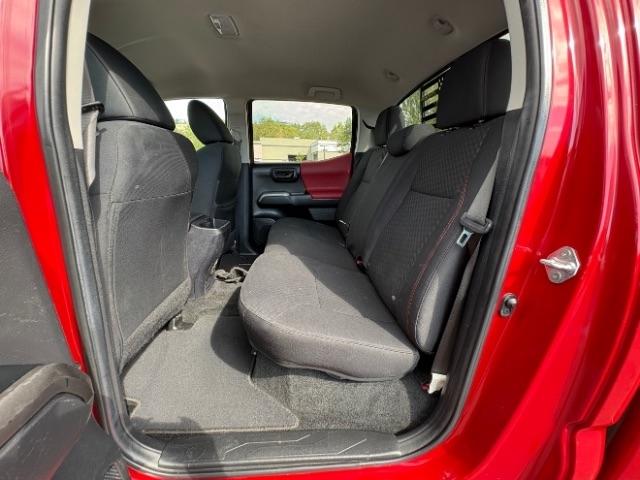 Toyota Tacoma 2WD TRD Off Road Double Cab 5' Bed V6 AT (Natl) 2022