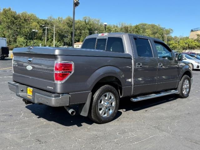 Ford F-150 2WD SuperCrew 145" Platinum 2011