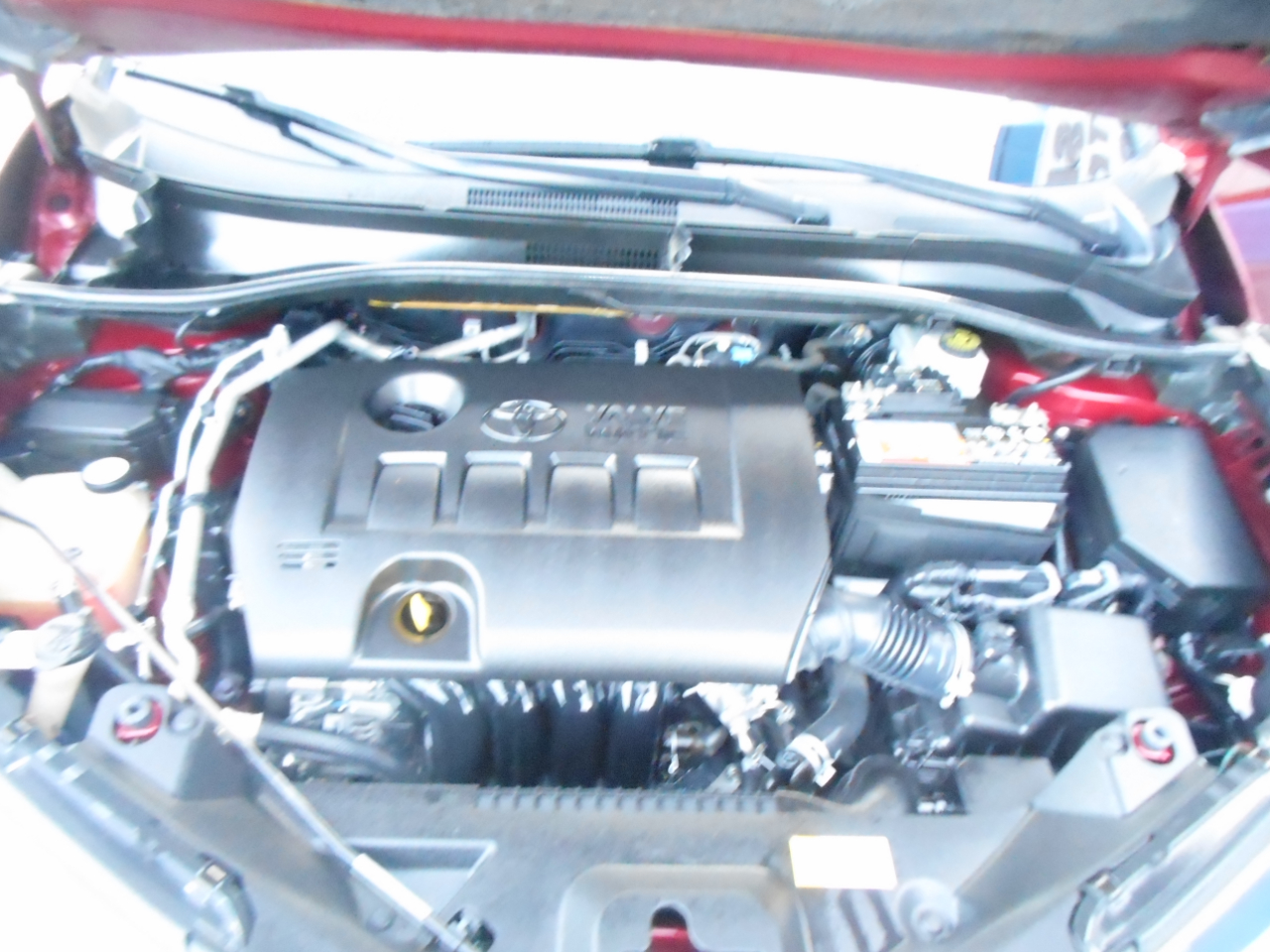 Toyota C-HR Limited FWD (Natl) 2019