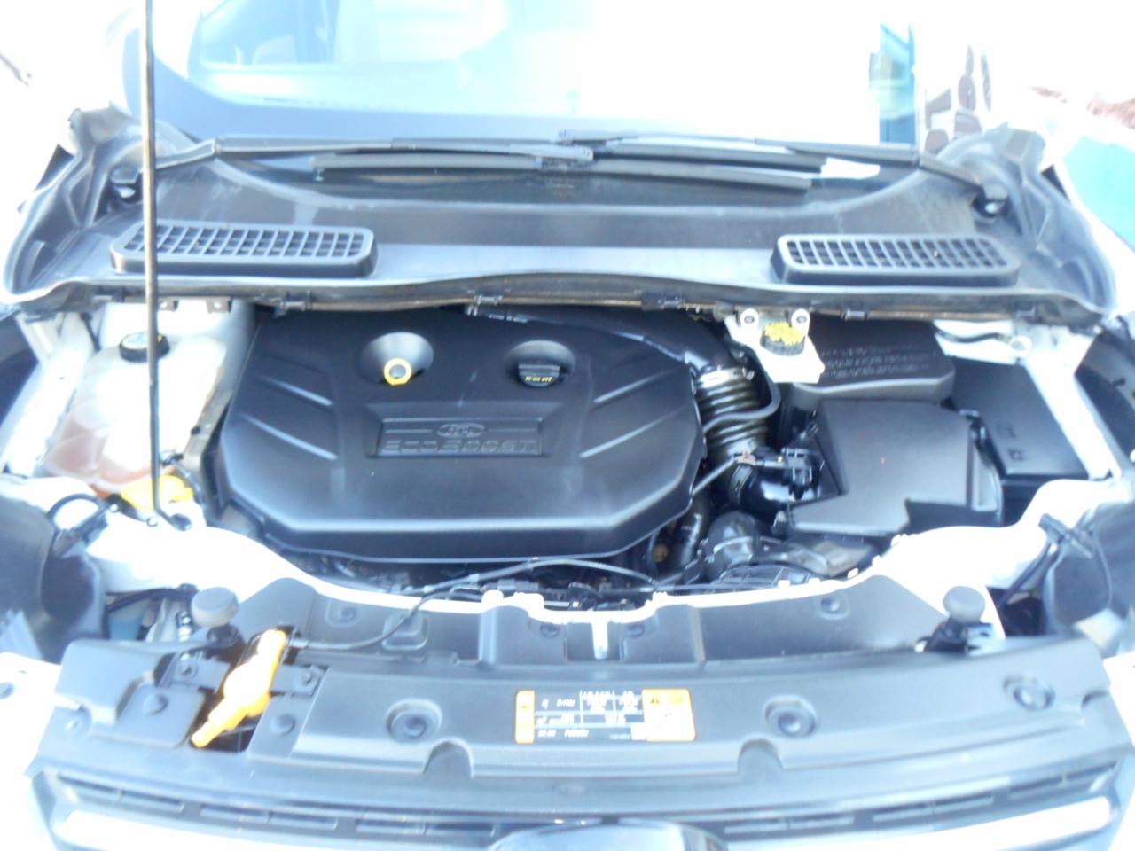 Ford Escape FWD 4dr SEL 2013