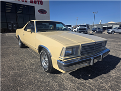 1979 Chevrolet El Camino 