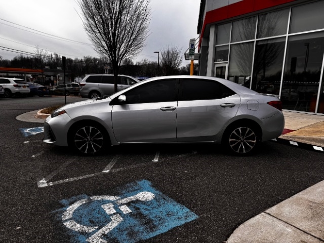 Toyota Corolla XLE CVT (Natl) 2019