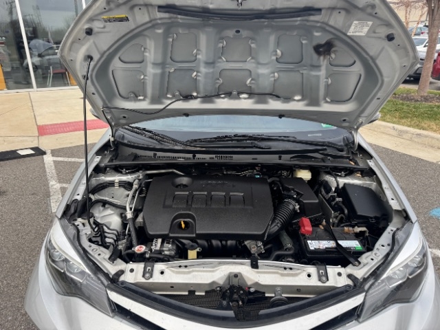 Toyota Corolla XLE CVT (Natl) 2019