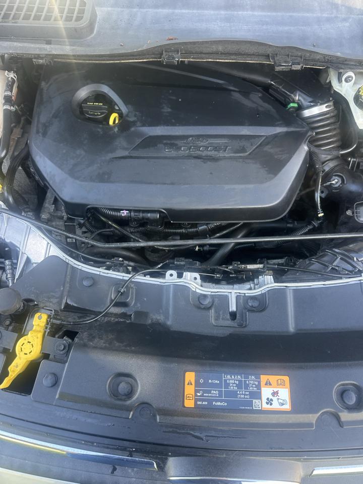Ford Escape SE FWD 2014