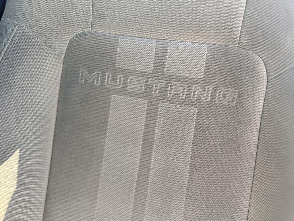 Ford Mustang EcoBoost Fastback 2018