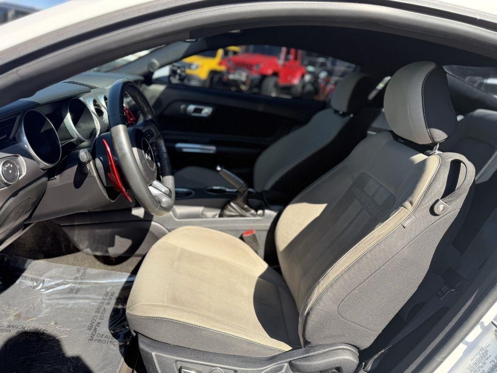 Ford Mustang EcoBoost Fastback 2018