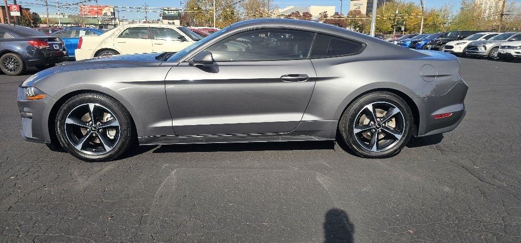 Ford Mustang EcoBoost Fastback 2021