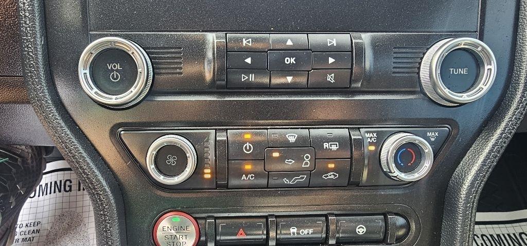 Ford Mustang EcoBoost Fastback 2021