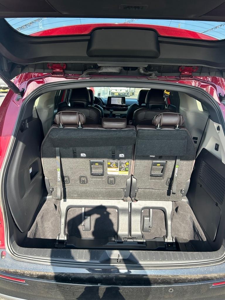 Toyota Sienna Platinum FWD 7-Passenger (Natl) 2023
