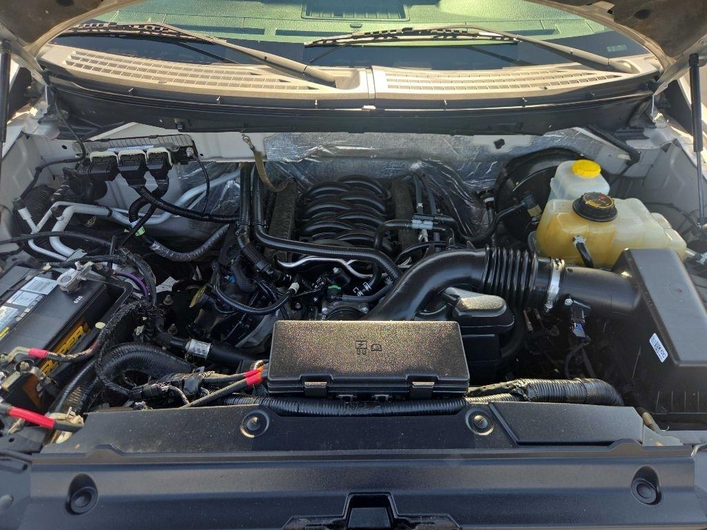 Ford F-150 2WD SuperCrew 145" Platinum 2014