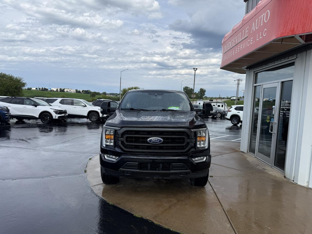 Ford F-150 XLT 4WD SuperCrew 6.5' Box 2023