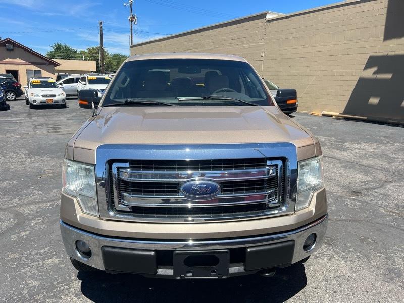 Ford F-150 4WD SuperCrew 145" Platinum 2013