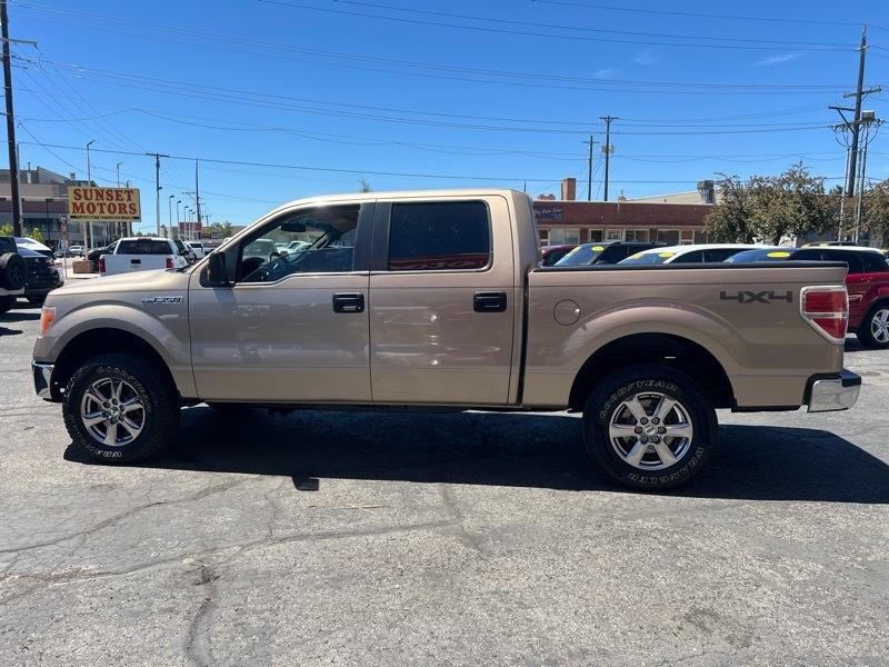 Ford F-150 4WD SuperCrew 145" Platinum 2013