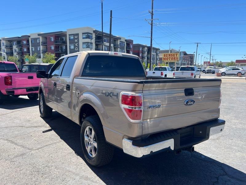 Ford F-150 4WD SuperCrew 145" Platinum 2013