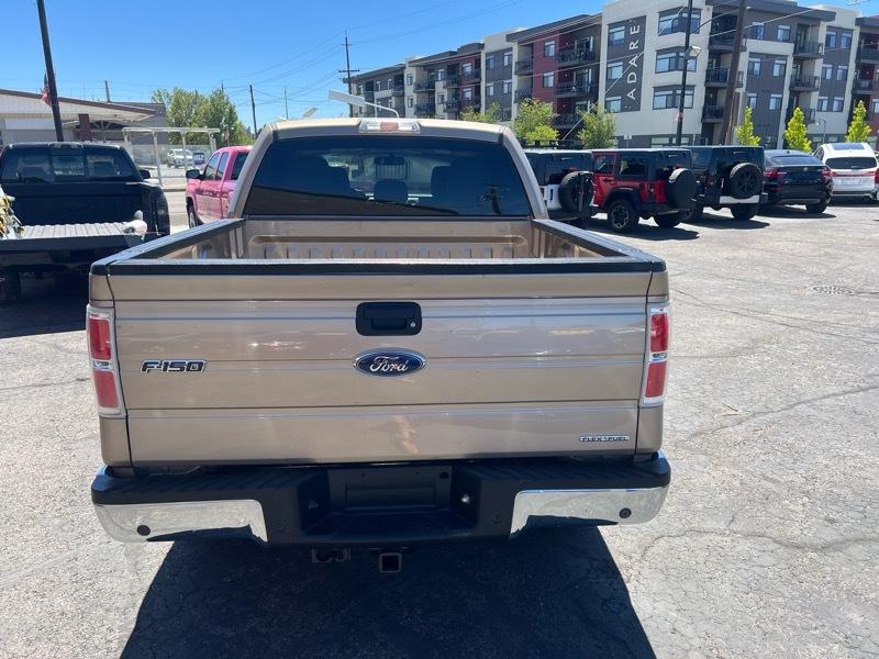 Ford F-150 4WD SuperCrew 145" Platinum 2013
