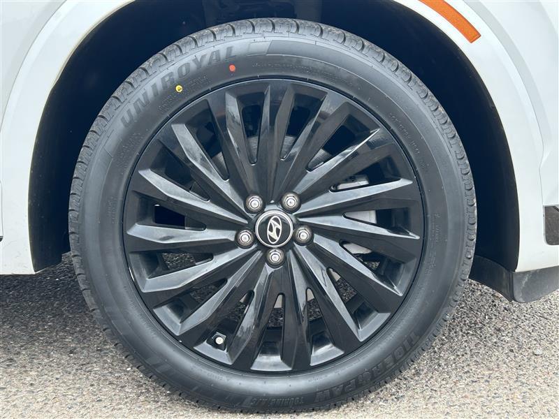 Hyundai Palisade Calligraphy AWD 2024