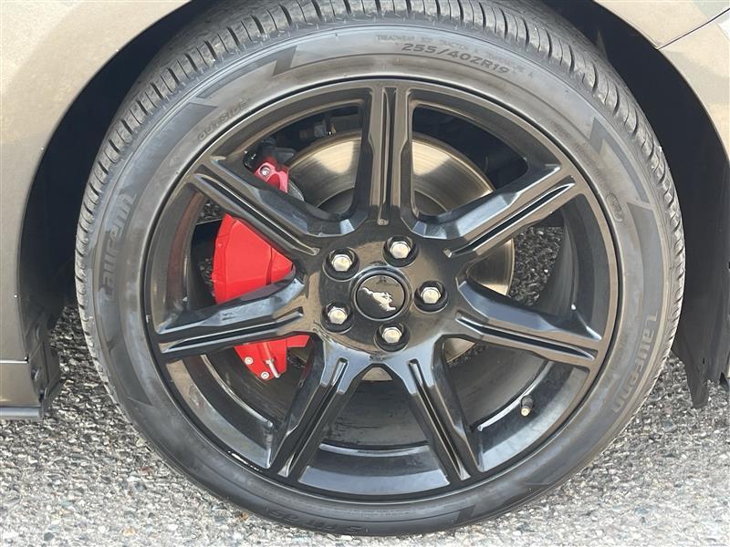 Ford Mustang EcoBoost Premium Coupe 2019