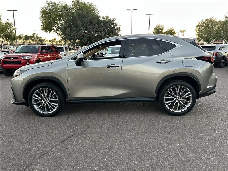 Lexus NX 350 Luxury AWD 2024