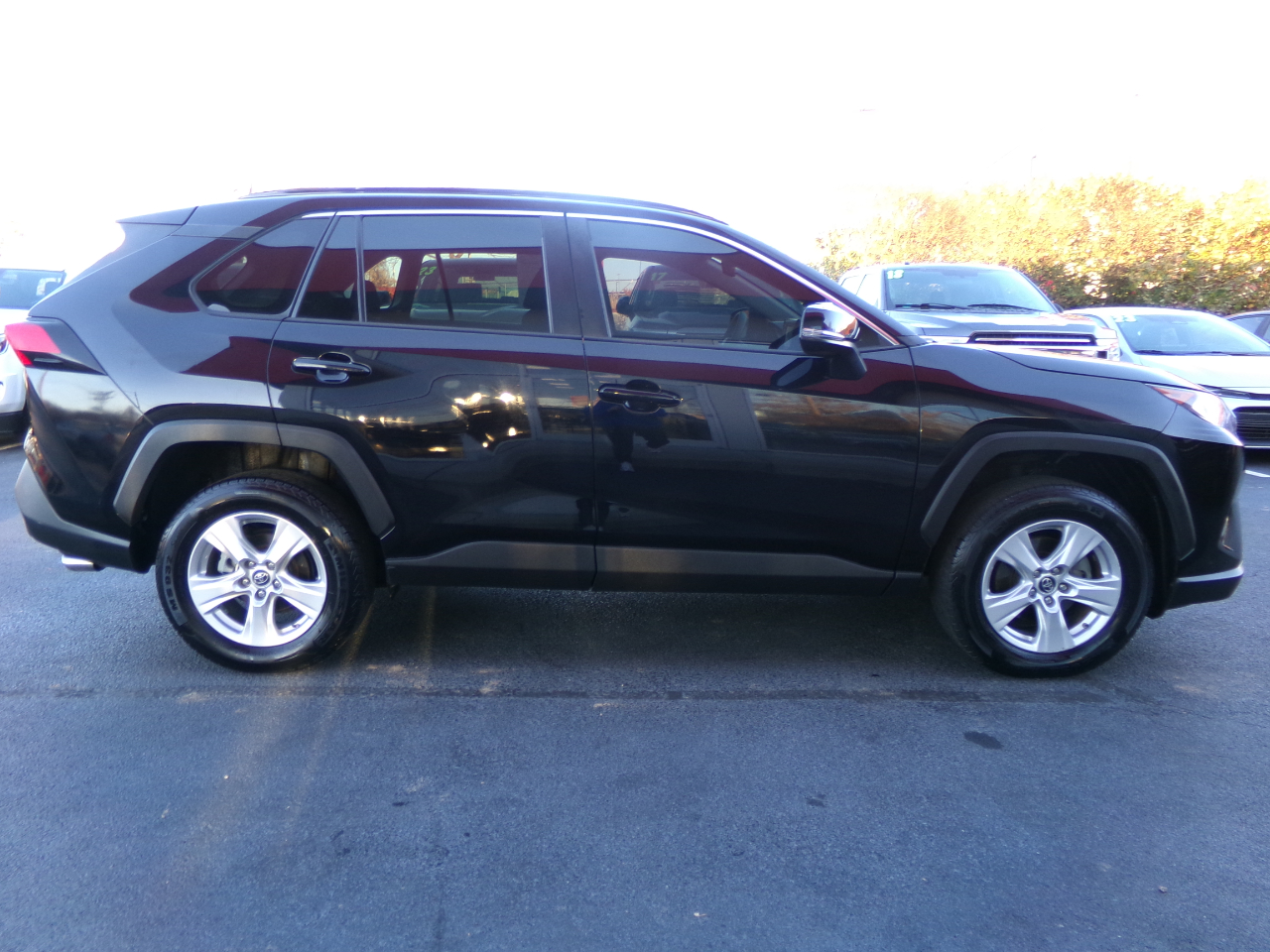 2019 Toyota RAV4 XLE Premium photo 2