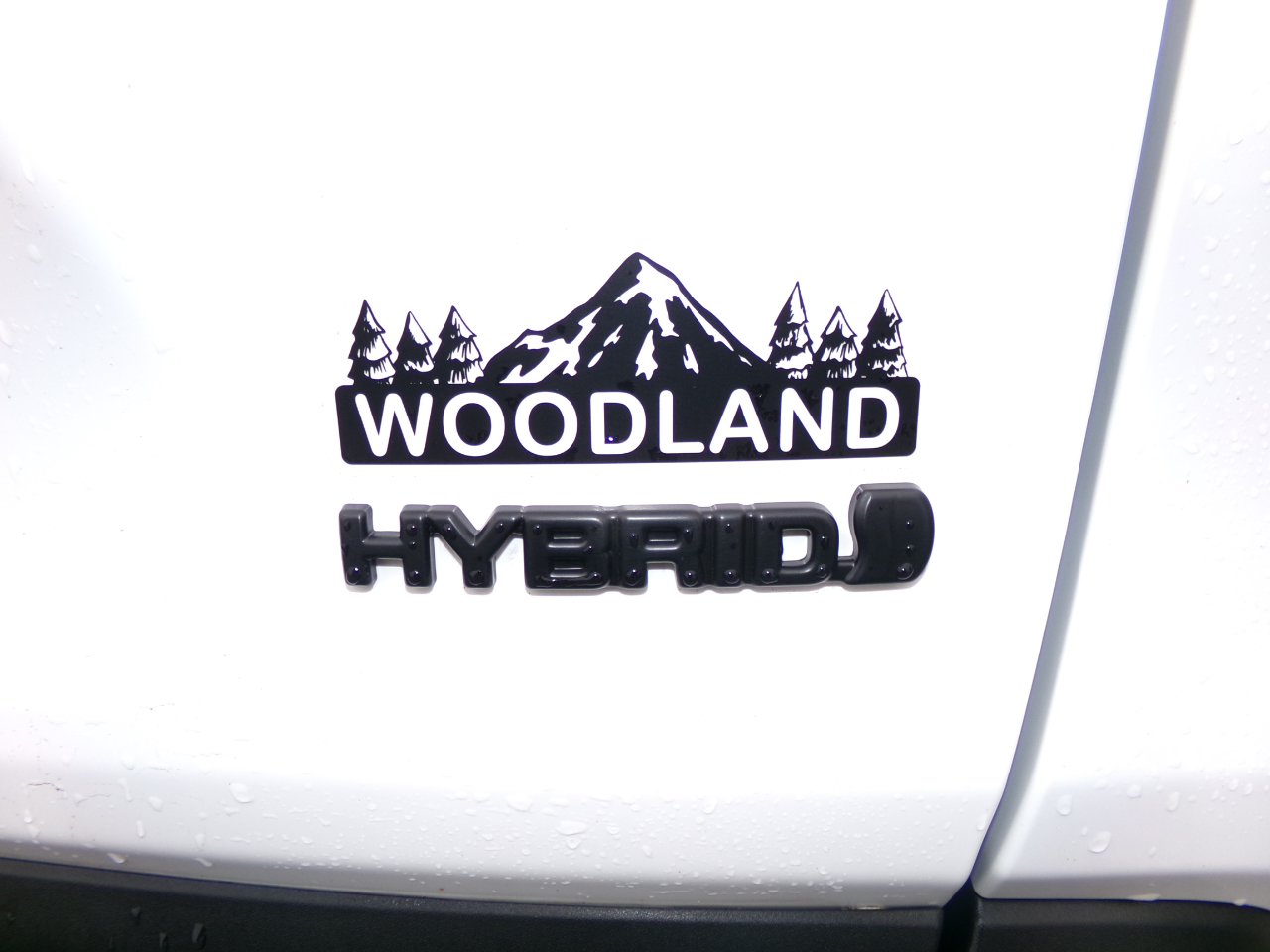 Toyota RAV4 Hybrid LE AWD (Natl) 2024