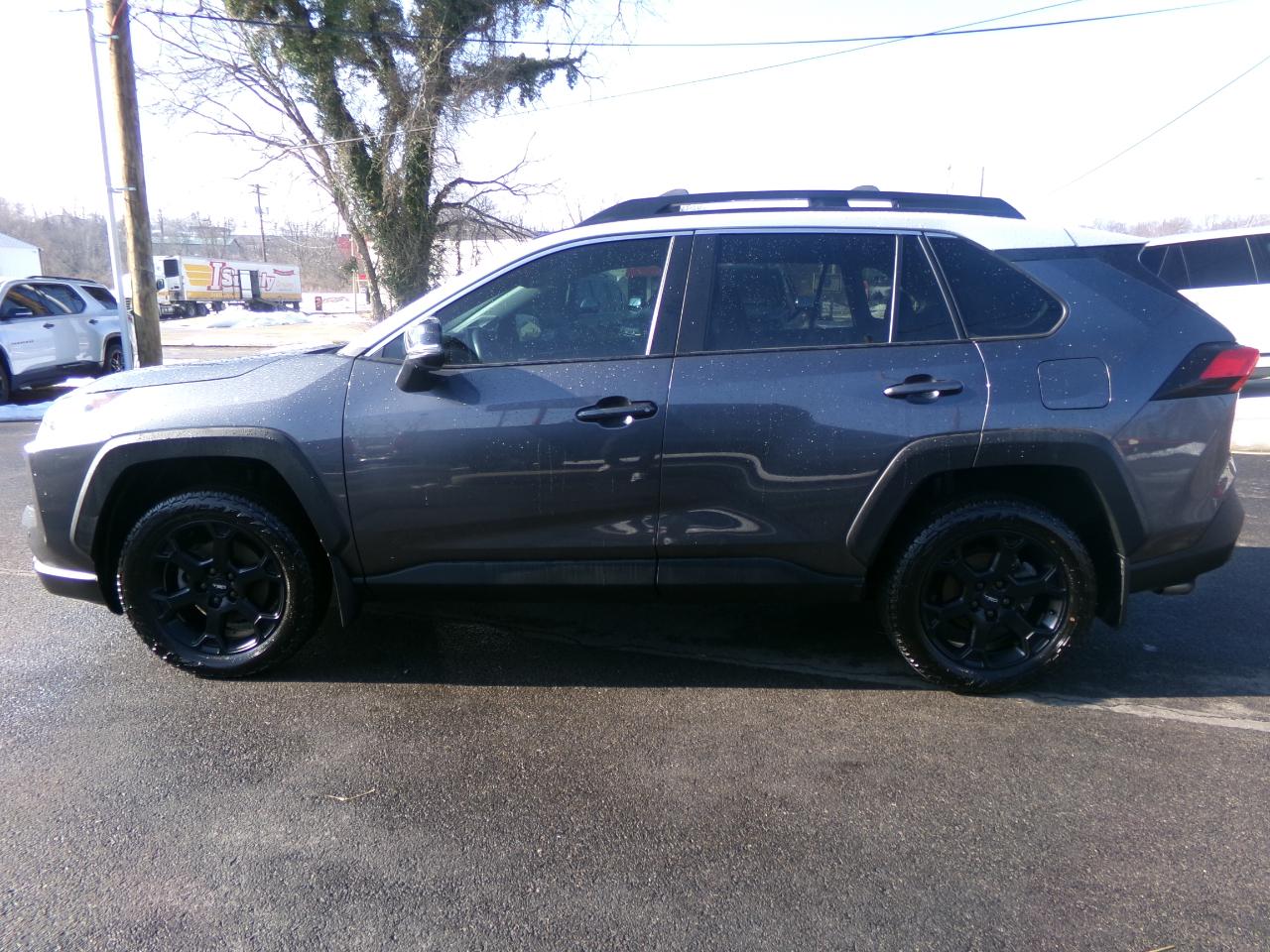 Toyota RAV4 Adventure AWD (Natl) 2020