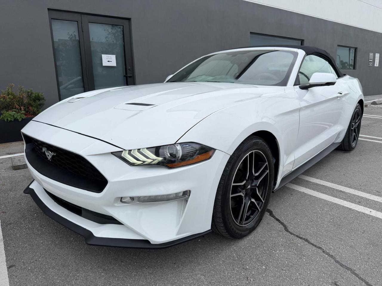Ford Mustang EcoBoost Convertible 2019