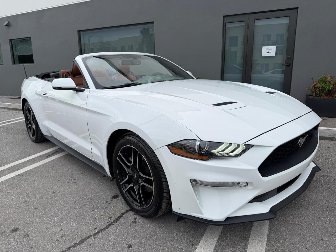 Ford Mustang EcoBoost Convertible 2019