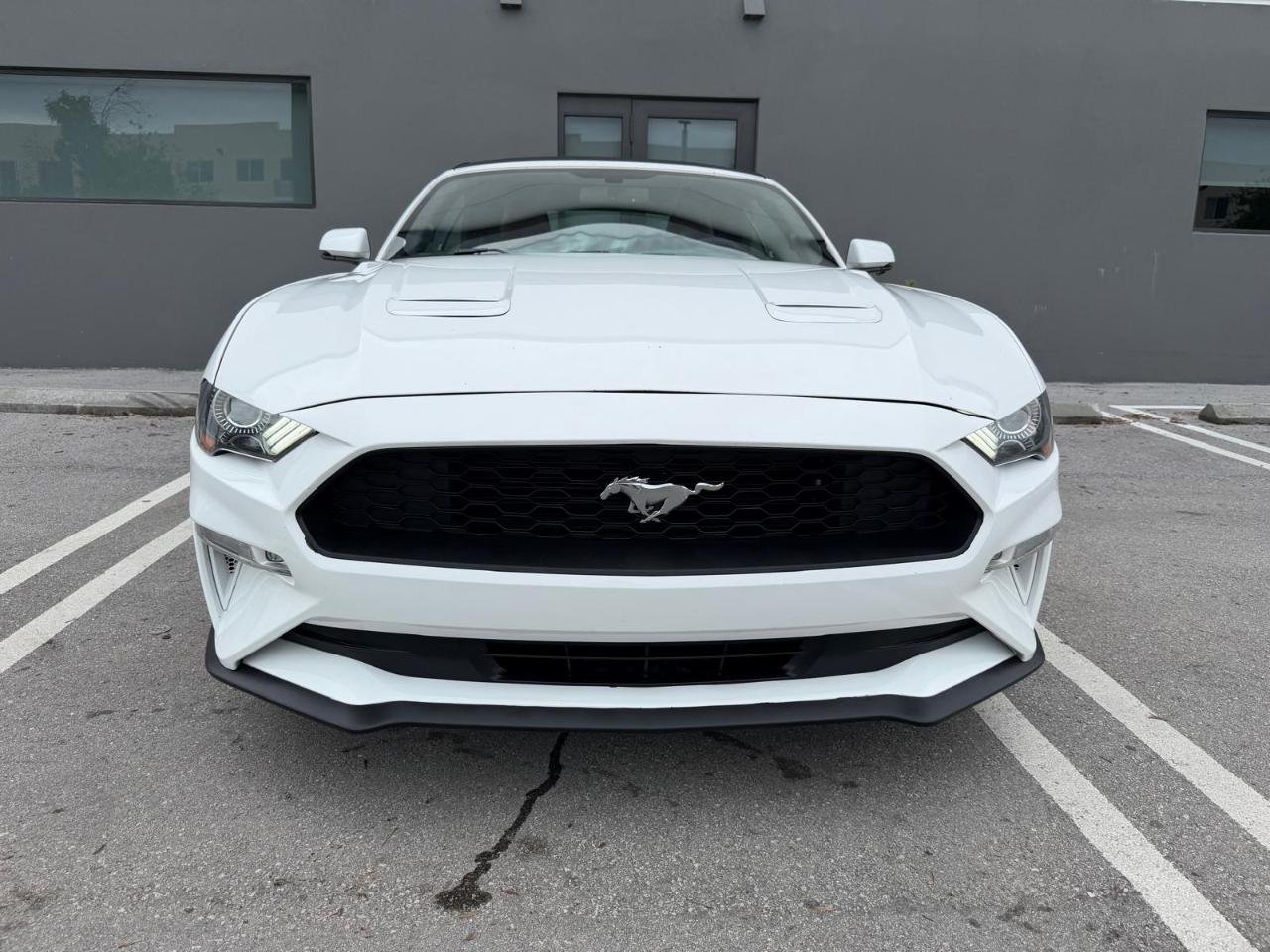 Ford Mustang EcoBoost Convertible 2019