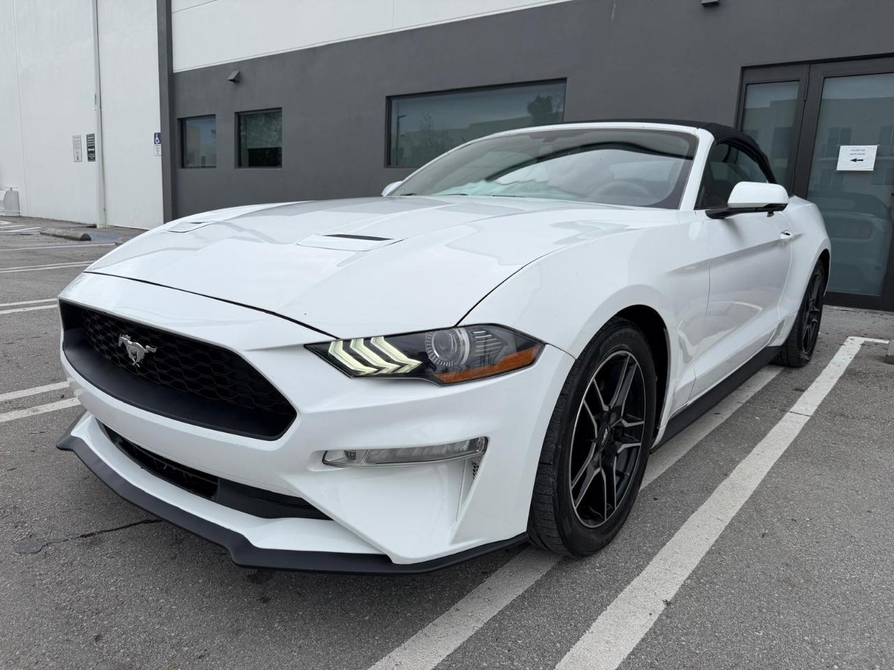 Ford Mustang EcoBoost Convertible 2019