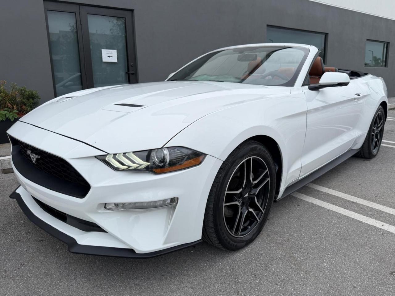 Ford Mustang EcoBoost Convertible 2019