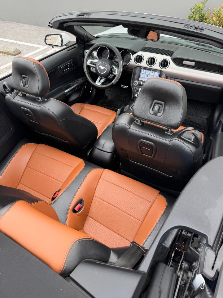 Ford Mustang EcoBoost Convertible 2019