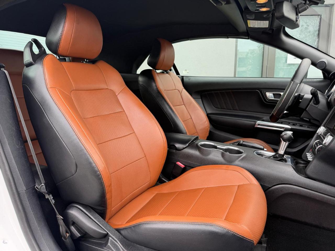 Ford Mustang EcoBoost Convertible 2019