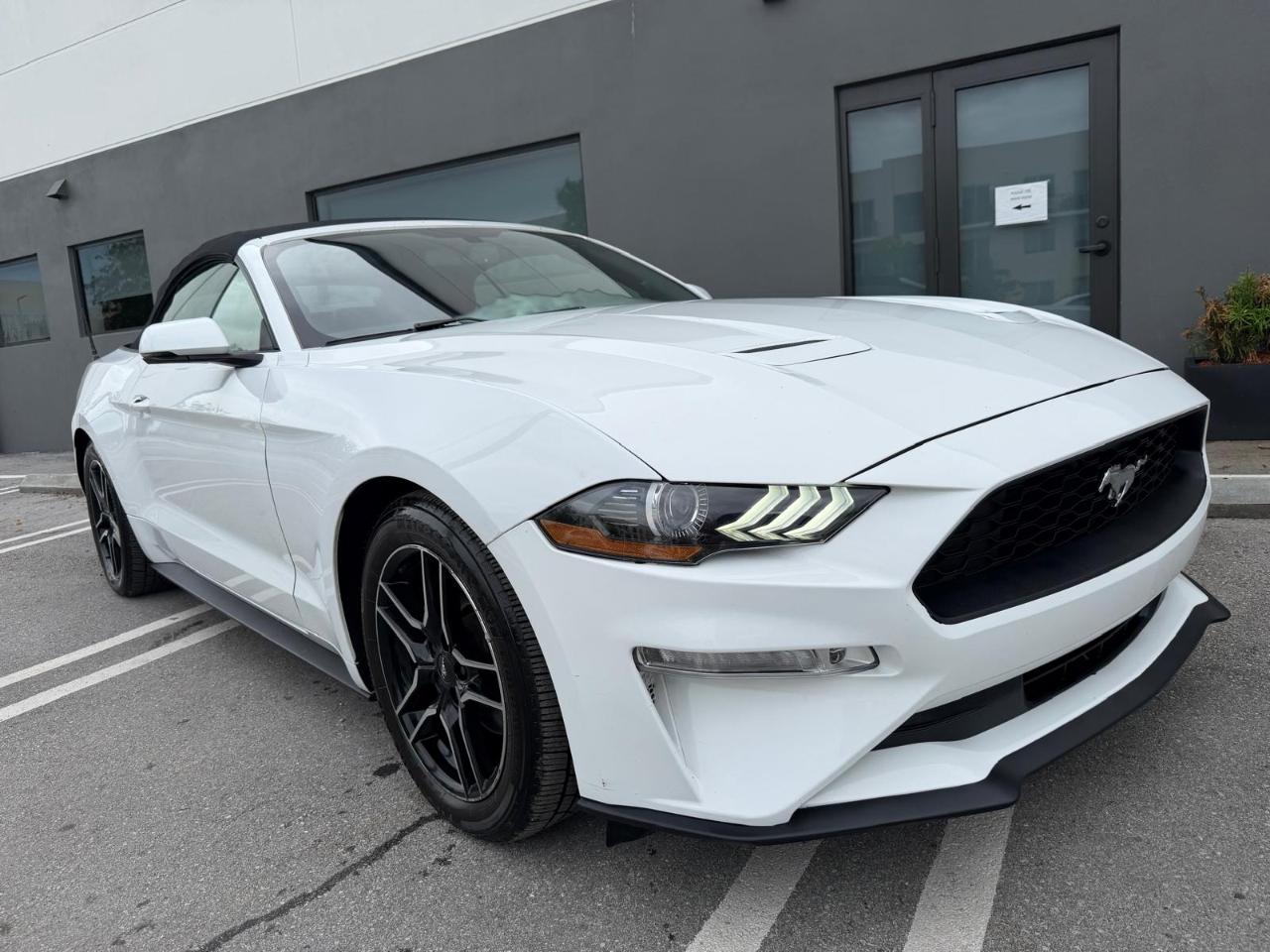 Ford Mustang EcoBoost Convertible 2019